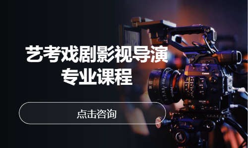 艺考戏剧影视导演专业课程